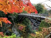 「秀麗富嶽十二景」百蔵山（1003m）と紅葉の日本三奇矯　猿橋