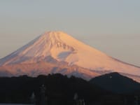 本日の富士山です。