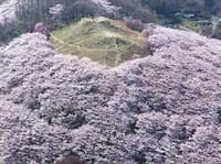 高遠はじめ　松本方面長野の桜みどころめぐり
