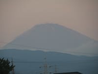 富士山見ながら草退治