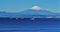  < お気に入り >  江の島 "稚児ヶ淵"からの 🗻富士山撮影