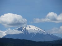 今日の富士山とユスラウメ