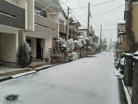 関東に初雪