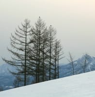 富良野・美瑛の山は今が雪解け3