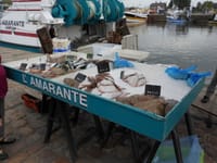 BREXITで危機、フランスの漁業と水産加工業