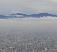 日本一のビル「あべのハルカス」から望む雲海