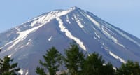 富士桜高原　朝の散歩