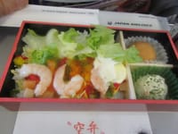 「豆腐とホウレン草のカレー煮」二編．＆．JAL957「ランチ機内食」