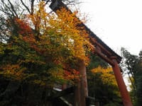 吉野山の紅葉「水分神社」