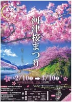 2月21日河津桜と桜の露天風呂へご案内♪♪♪