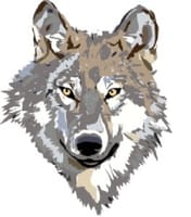 ※中止※　4/29→５／２(日曜)　第７５回目の関西人狼クラブOver30の初心者に優しい人狼会を開催いたします。