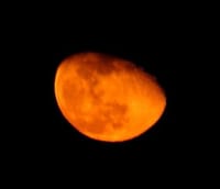 写真３枚は、今日の夕暮れと今夜の赤い月