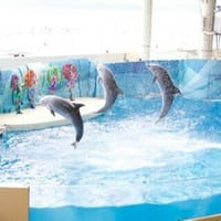 3月20日新江ノ島水族館＆江の島散策