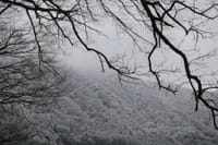 冬景色 その10「先日の⛄雪景色」