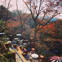 日々響　de　漢方茶屋ランチ　with　「鎌倉の森トレッキング」に参加～♪