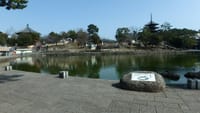 ☆奈良観光のメインスポットここから散策レッツゴー【猿沢池】