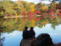 六甲山「再度公園＆修法ケ原」の紅葉
