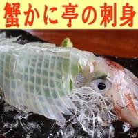 福井県越前町の蟹かに亭で新鮮な刺身を食べましょう