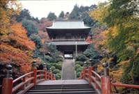 那須高原の禅古刹、寺山が赤く染まる歴史ロマンの紅葉、一度はそんな季節に訪れてみたい「雲厳寺」へ