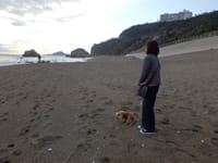 砂浜を吹き抜ける風がちめたい11月【伊良湖の景勝地】