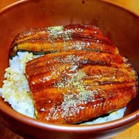 奈良で鰻食べましょう(^o^)