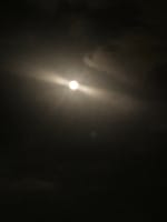 今日9月10日(土)は満月で十五夜の「中秋の名月」が見られました。
