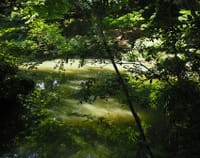 都心にも江戸の名園のグリーンマジック《美しき世界》