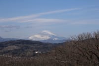 二宮に行って富士山見てきた