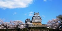 世界文化遺産　姫路城（白鷺城）の桜