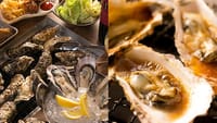 【2/24＊土曜日】今が旬！焼牡蠣、蒸牡蠣、牡蠣フライ食べ放題＆飲み放題！】