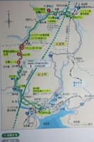 熊野古道伊勢路　ツヅラト峠