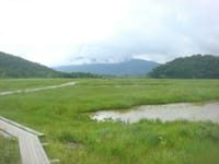 信州/霧ヶ峰と池の平湿原