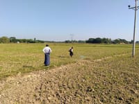 ミャンマーの農家の農薬散布