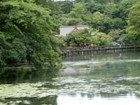 井の頭恩賜公園から世田谷の小京都､烏山寺町を歩きましょう。