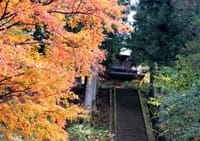 須川宿散歩 ― 襲色目の泰寧寺 ―
