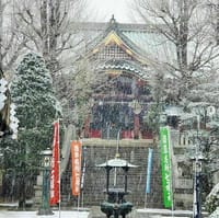 大根どころではない東京の雪