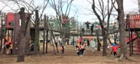 公園の園児たち