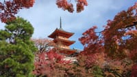 【ｲﾍﾞﾝﾄ】京都  趣のある路と紅葉めぐり