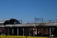 桜・菜の花・富士山の三点セットの地下鉄♪～川和町