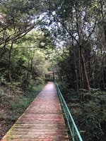 【小幡緑地 本園で森林浴とウォーキング】2021年10月12日(火)