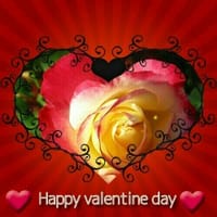 Happy valentine  day to you 