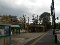 「神宮外苑の樹木伐採」信濃町