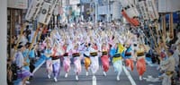 神奈川県大和市の阿波踊りを桟敷席から見ませんか!!
