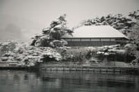 冬の朝日 in　松島特集を書きました。