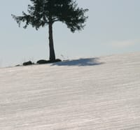 富良野・美瑛の山は今が雪解け2