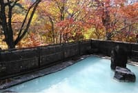 「湯回廊 菊屋」に泊まる紅葉の修善寺温泉