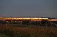 写真は、朝陽を浴びた電車、子福桜、メジロとエンジュの実
