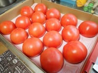 ２０２１．０１．２９　買い出し日はトマトソース