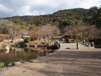 京都 円山公園の昔今・・・