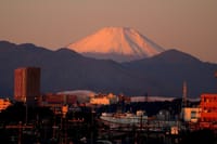 写真３枚は、富士山と多摩川の川霧、日の出前の多摩川、富士山の見える窓